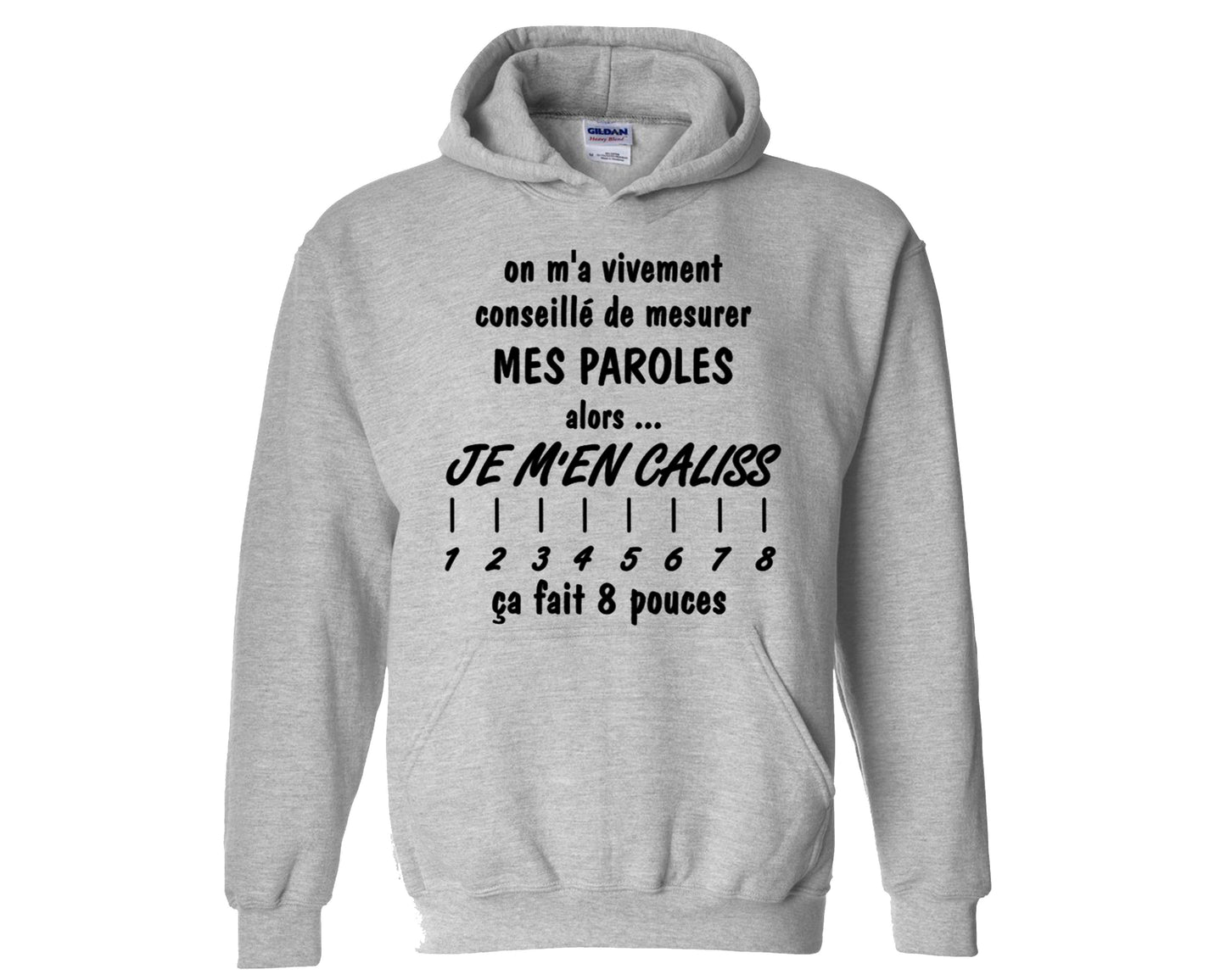 On m’a vivement conseillé de mesurer mes paroles