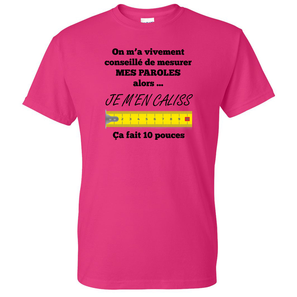 On m’a vivement conseillé de mesurer mes paroles