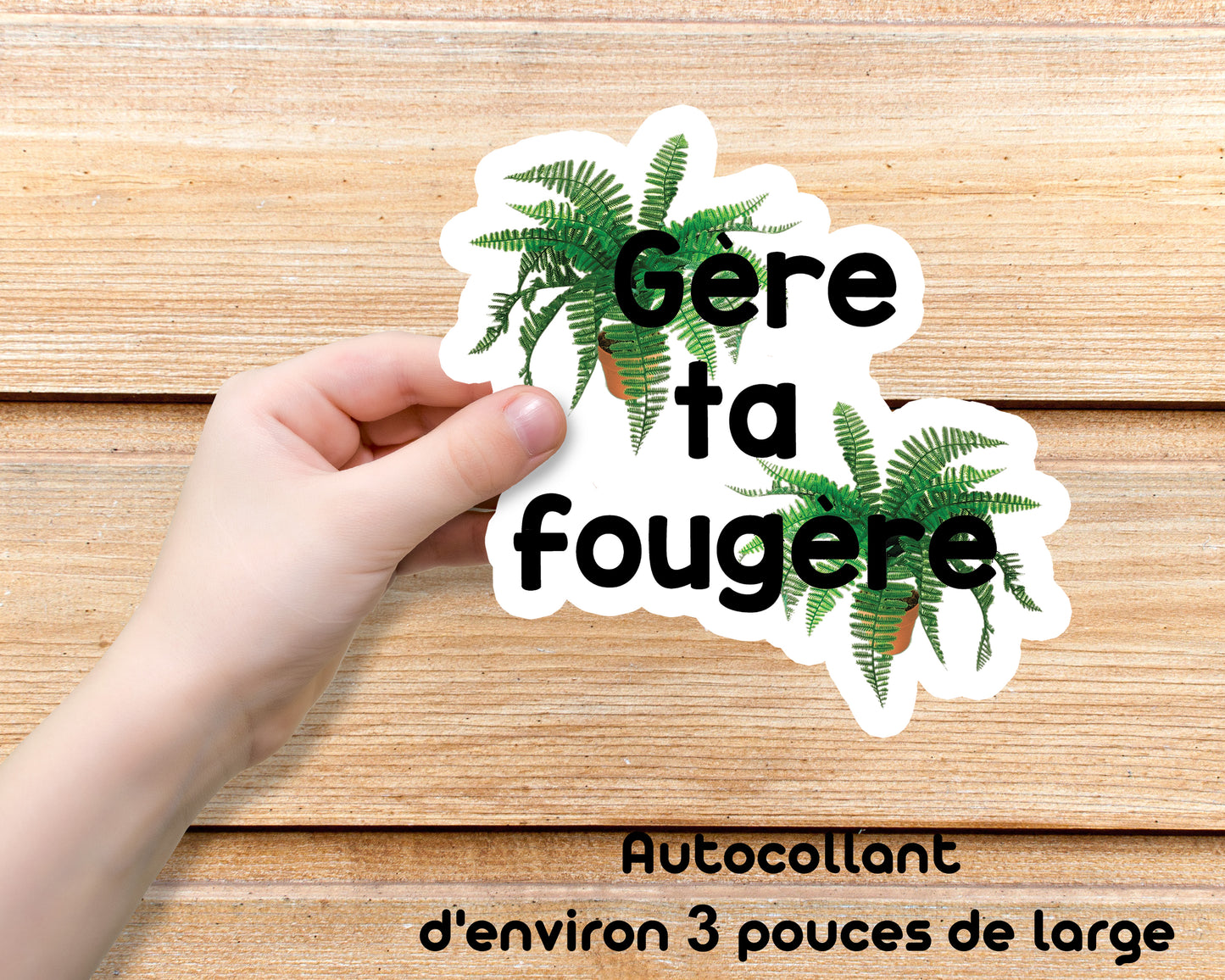 Gère ta fougère -