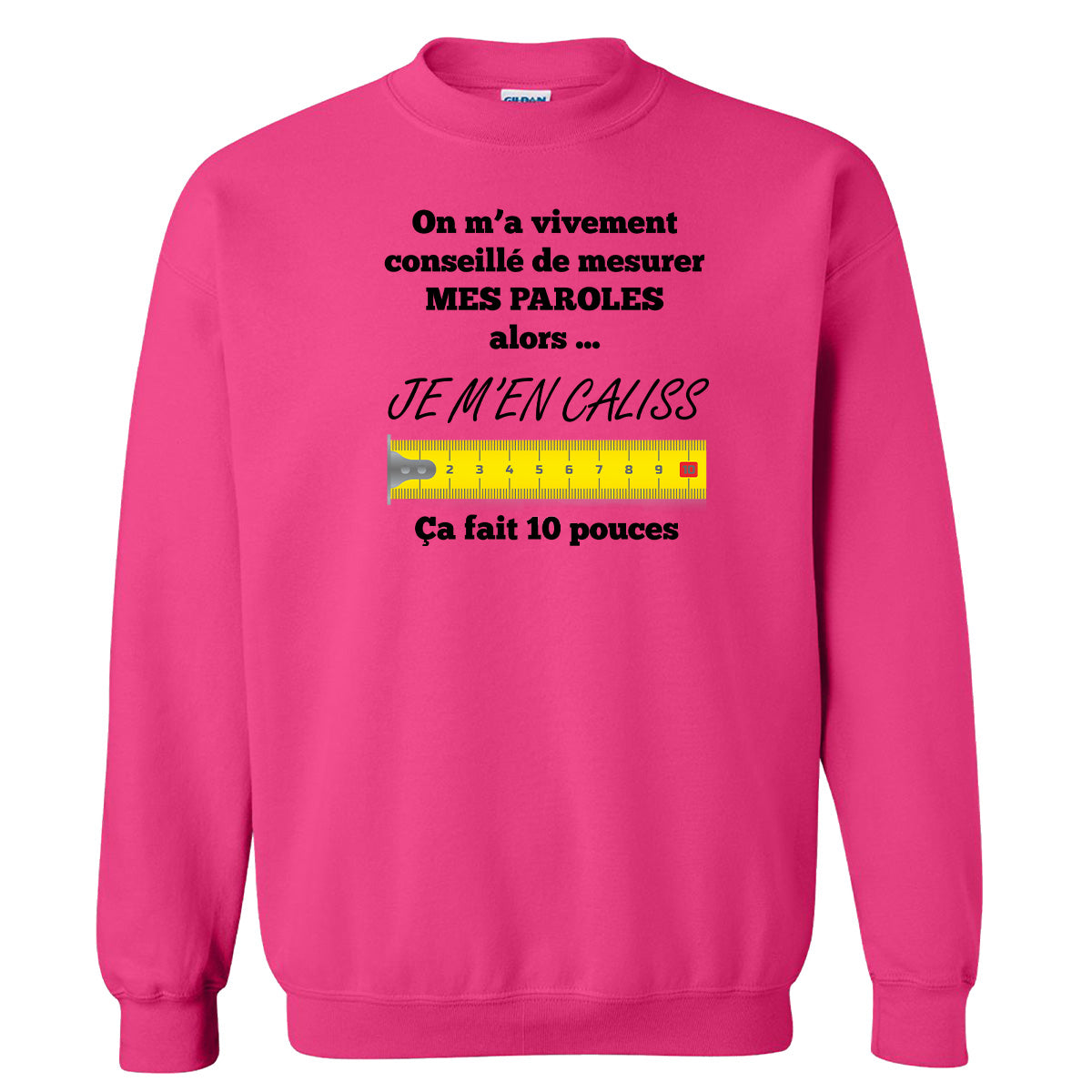 On m’a vivement conseillé de mesurer mes paroles