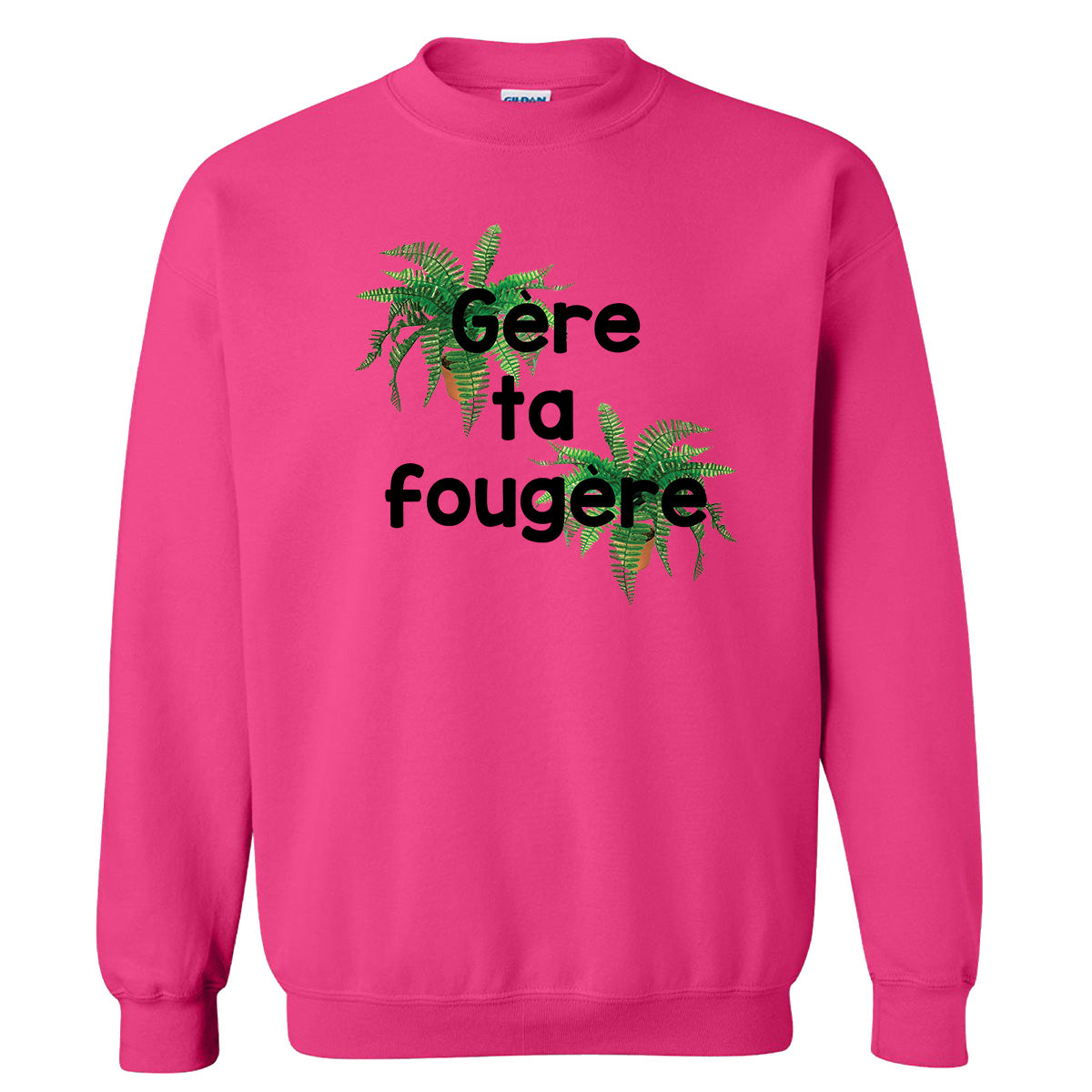 Gère ta fougère -