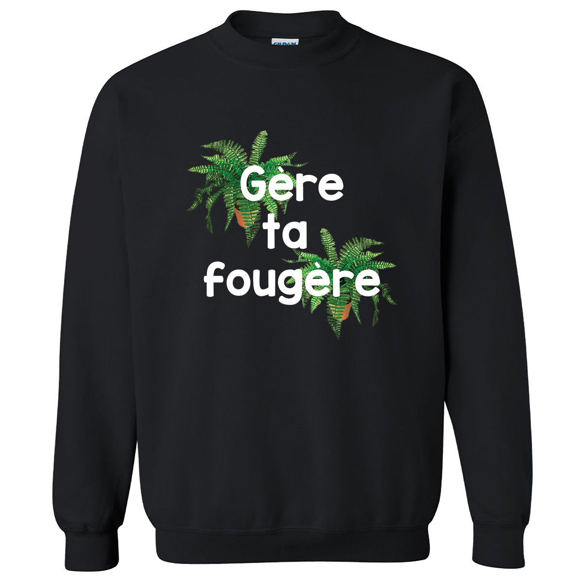 Gère ta fougère -