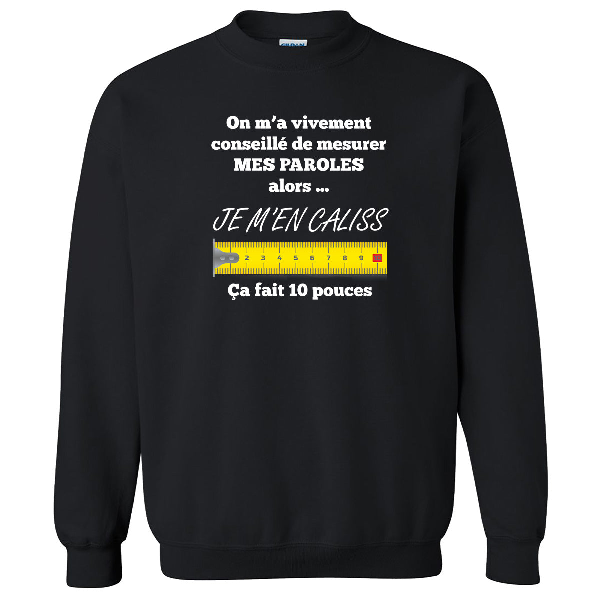 On m’a vivement conseillé de mesurer mes paroles