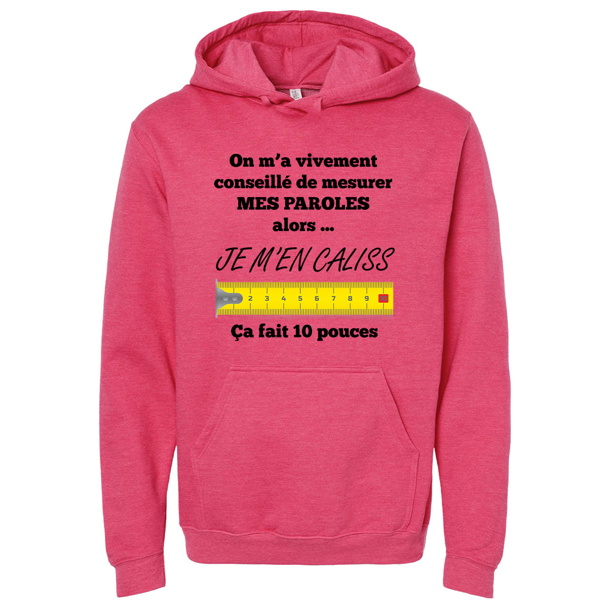 On m’a vivement conseillé de mesurer mes paroles