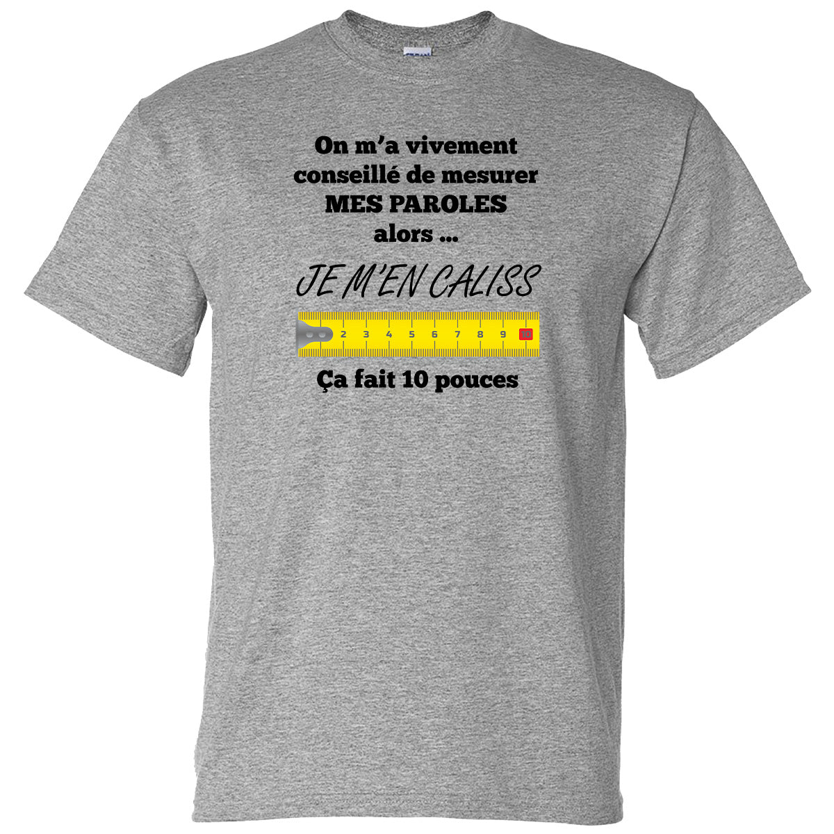 On m’a vivement conseillé de mesurer mes paroles