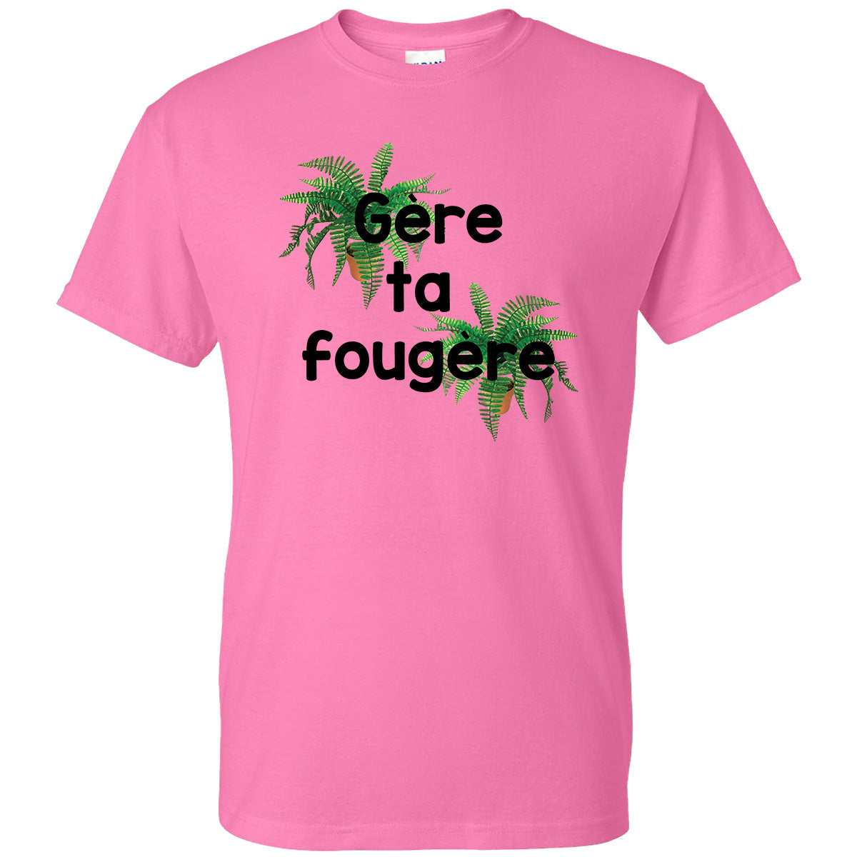 Gère ta fougère -